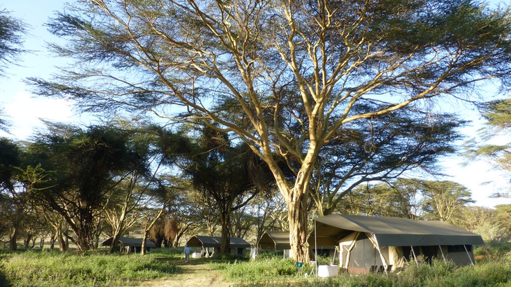 Camp, Lewa