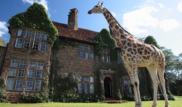 giraffe-manor-738x397_599